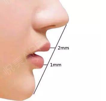 标准鼻头:侧面鼻头与下巴连成线时,上嘴唇相差2毫米,下嘴唇相差1毫米.